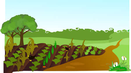 The arable field, the earth, forest belt.のイラスト素材
