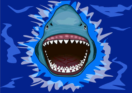A terrible toothy shark in the water.のイラスト素材