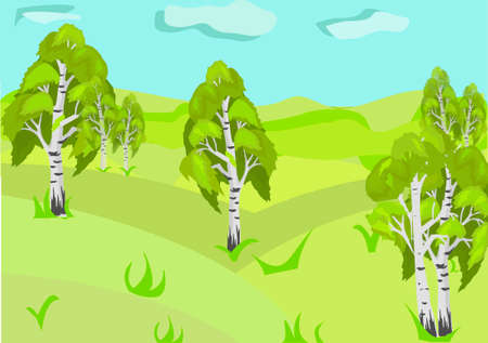 The birch grove. The green glade. Blue sky.のイラスト素材