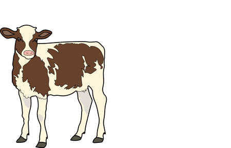 The white calf with brown spots on a white background.のイラスト素材