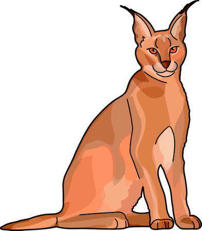 The brown caracal on a white background. Ears with tassels.のイラスト素材