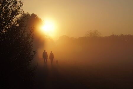Couple during sunrise walking the dogの写真素材