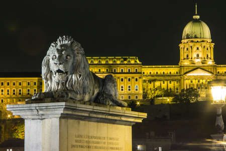 Buda Castle in Budapest at night. Hungary