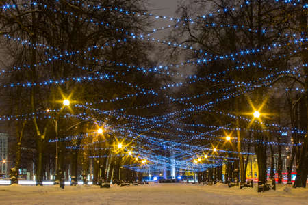 Christmas illuminations in Tallinn Park. Estoniaの写真素材