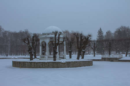 Snowfall in Tallinn. Beautiful gazebo on an island in the middle of a pond in winter. Estoniaの写真素材