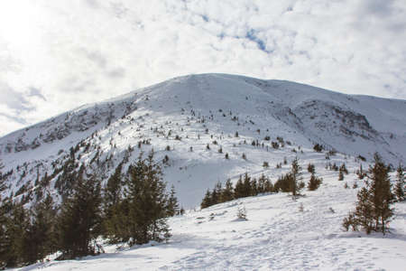 View of the snow-covered Hoverla Mountain - the highest mountain in Ukraineの写真素材