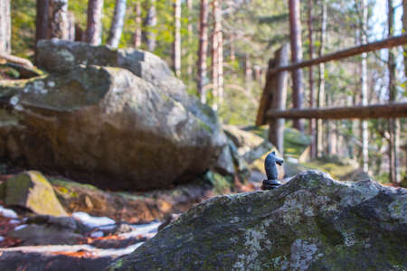 Black chess horse on a hiking trail near Yaremche village in winter. Ukraineの写真素材