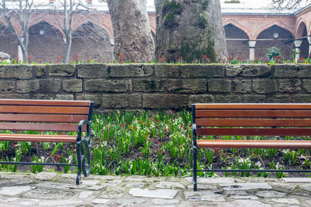 Wooden benches in a park in Istanbul in spring. Turkeyの写真素材