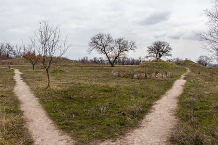 Trail on the island of Khortytsia in Zaporizhzhya in early spring. Ukraine