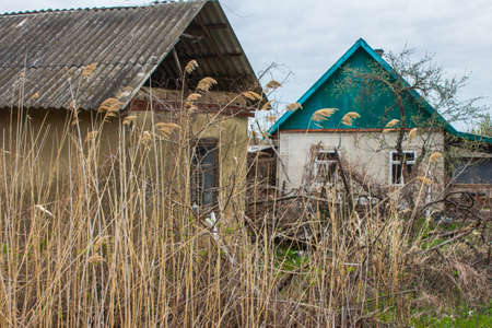 Houses on a background of reeds in the town of Vylkove. Ukraineの写真素材