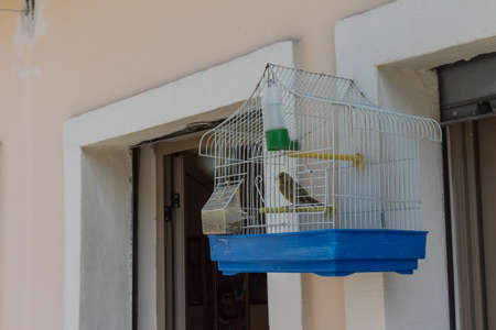Canary in a cage on the street in the city of Shkodra. Albania