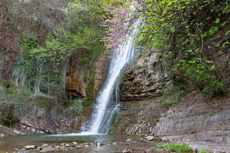 A view of the Leghvtakhevi Waterfall in the Tbilisi Botanical Garden. Georgia countryの写真素材
