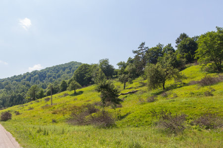 Beautiful view of the road in the mountains. summer landscape.