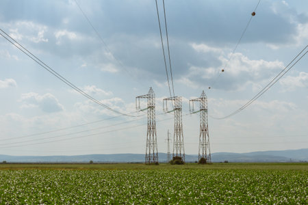 High-voltage power line in the field with soybean plants