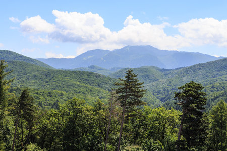 A view of the forest and mountains near the city of Rasnov. Transylvania. Romania