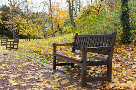 Wooden bench in autumn park with fallen leaves in the foreground.