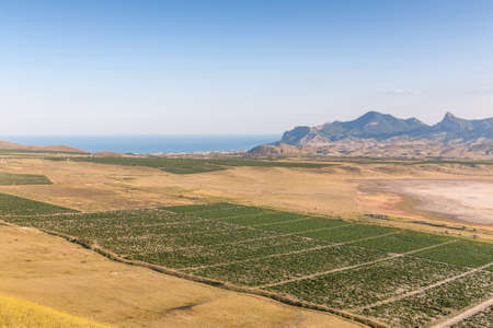 Valleyの写真素材