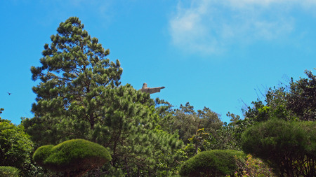 Jesus statue in the Dominican Republicの写真素材