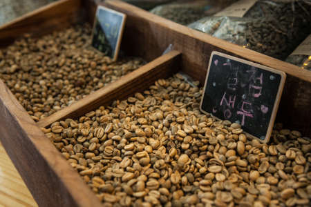 defect beans for educationの写真素材