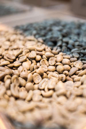 coffee green beansの写真素材