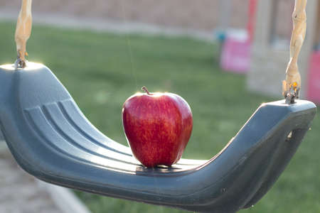 A red apple symbolizes learning and education.の写真素材