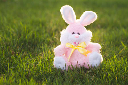 A pink, stuffed, easter bunny is sitting on green grass.の写真素材