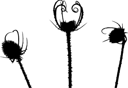 Prickle silhouetteのイラスト素材
