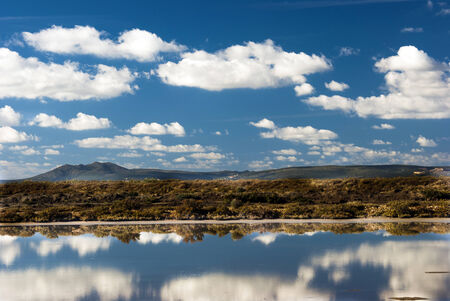 Mirror reflections in natural park waters  Sardinia の写真素材