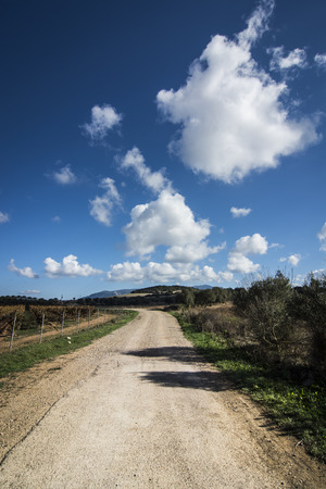Countryside road under cloudsの写真素材
