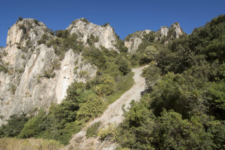 Wild Sardiniaの写真素材