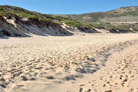Coastal dunes and beach in south-western Sardiniaの写真素材