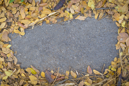 Yellow and brown leaves on an asphalt can use as frame for text,copy spaceの写真素材