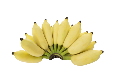 Isolated bunch of cultivated banana in white background with clipping pathの写真素材