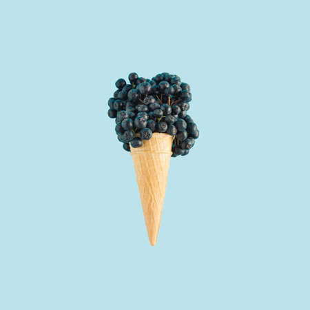 Creative idea of ice cream with berry fruit, chokeberry, in a cone on blue background. Minimal summer or healthy dessert concept.の写真素材