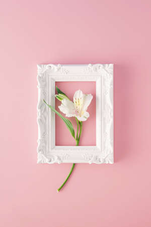 Retro arrangement made of white flower in a white frame on a pink background. Minimal spring concept. Vintage and Mother's Day inspiration. Flat layの写真素材