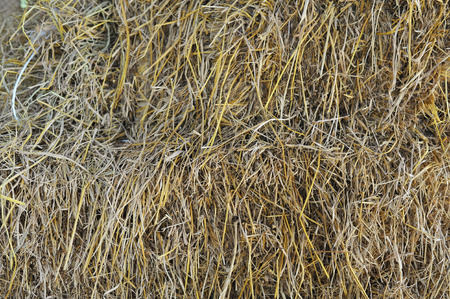 straw, dry straw texture background