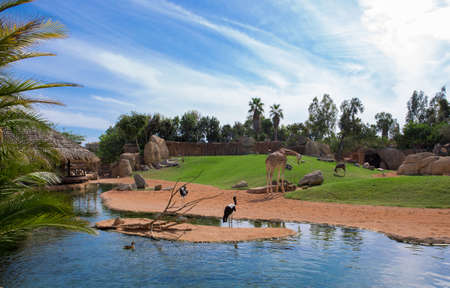 Bioparcのeditorial素材