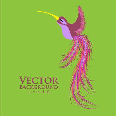 Vector graceful hummingbird or colibri. Pink color. Format eps10.のイラスト素材
