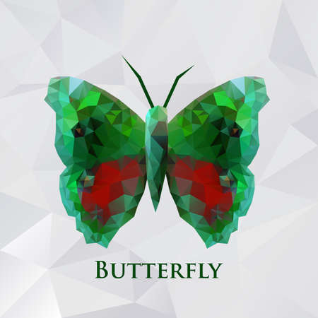 Vector butterfly green geometric. Abstract insect. Polygonal design eps10.のイラスト素材