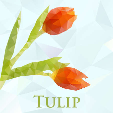Vector picture with polygonal tulip flowers. Format eps 10.のイラスト素材
