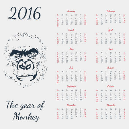 Vector calendar 2016. The yeat of monkey. Grey card. Format eps10.のイラスト素材
