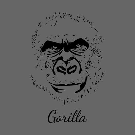Format of vector eps10.  Grey postcard with gorilla.のイラスト素材