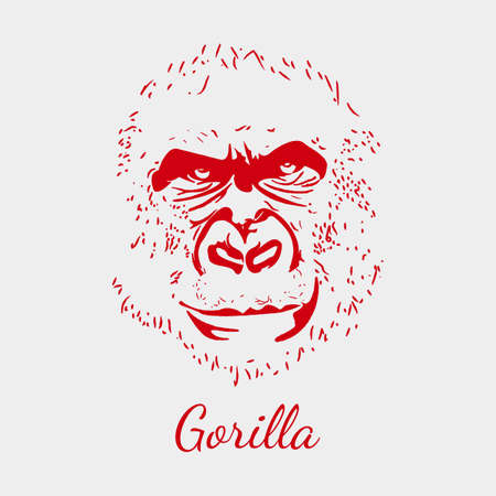 Vector format eps10. gorilla. Red postcard with gorilla on background.のイラスト素材