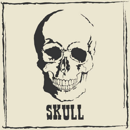 Vector skull on grey background.with format eps10.のイラスト素材
