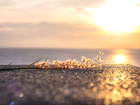 the last lightの写真素材