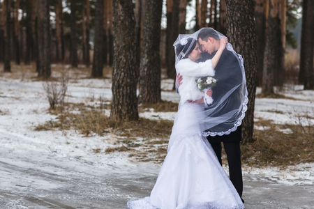 Young couple newlyweds walking in a winter forest in the snow. Bride and groom hugging in the park in winter. Beautiful man and woman in their wedding clothes are among the pines.の写真素材