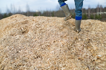 A child walks on a mountain of sawdust and wood chips in rubber bootsの写真素材