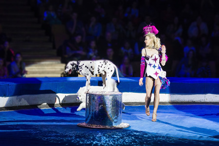 woman dog trainer show at the circus.の写真素材