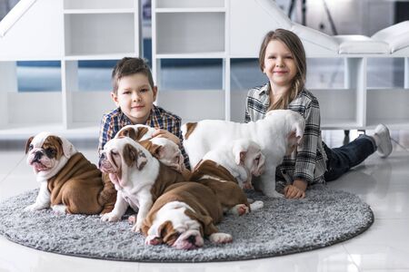 Friendship between children and cute puppies of bulldogの写真素材