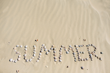 Sea shells on sand. Summer beach background. Top viewの写真素材